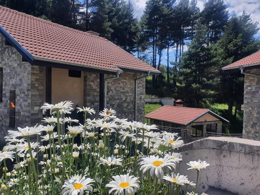 Ваканционна къща ,,Родопски уют Доспат Номер фото